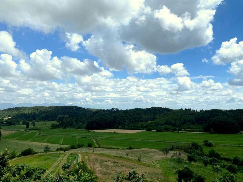 Agriturismo Fonte Belvedere Daire Collesalvetti Dış mekan fotoğraf