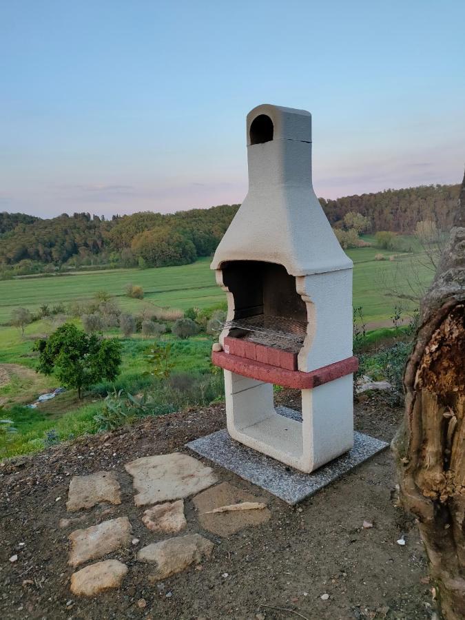 Agriturismo Fonte Belvedere Daire Collesalvetti Dış mekan fotoğraf