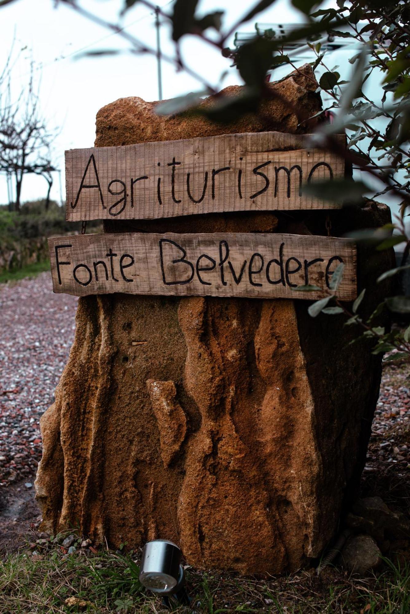 Agriturismo Fonte Belvedere Daire Collesalvetti Dış mekan fotoğraf